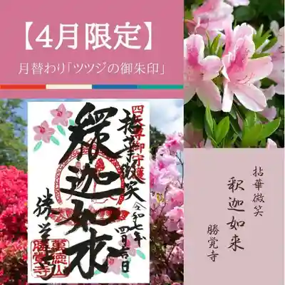 勝覚寺の御朱印