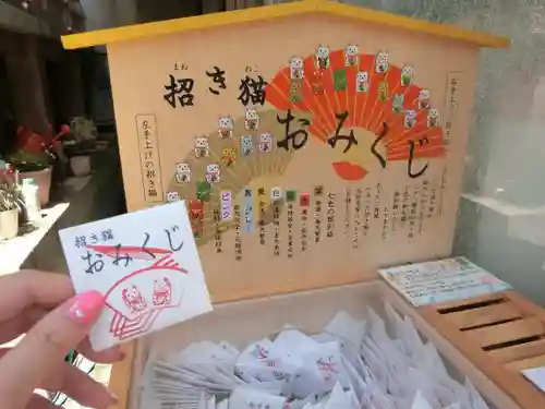 今戸神社のおみくじ