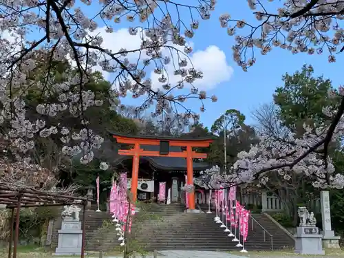 藤島神社（贈正一位新田義貞公之大宮）の景色