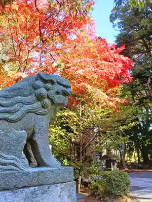 諏訪八幡神社の狛犬