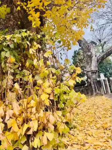 宇賀神社(京都府)