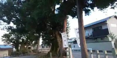 兒神社のその他建物