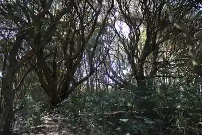 猿田神社の周辺