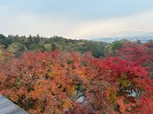 清水寺(京都府)
