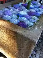 鶴岡八幡宮(神奈川県)