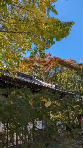 松ヶ崎大黒天 妙圓寺（妙円寺）(京都府)