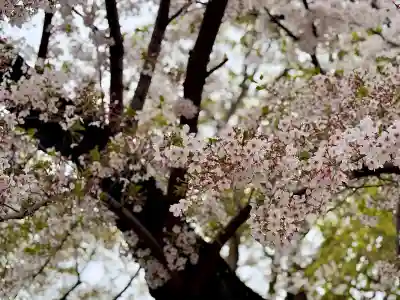 和田稲荷神社の{uncategorized: "未分類", other: "その他", undefined: "問題あり", building: "その他建物", grave: "お墓", sacred_gate: "鳥居", guardian: "狛犬", statue: "像", buddha: "仏像", history: "歴史", nature: "自然", garden: "庭園", animal: "動物", pagoda: "塔", temizu: "手水舎", mountain_gate: "山門・神門", sanctuary: "本殿・本堂", subordinate: "末社・摂社", art: "芸術", scenery: "景色", jizo: "地蔵", ema: "絵馬", goshuin: "御朱印", omikuji: "おみくじ", items: "授与品その他", amulet: "お守り", goshuincho: "御朱印帳", eats: "食事", festival: "お祭り", votive_dance: "神楽", shichigosan: "七五三参", wedding: "結婚式", experience: "体験その他", initially: "初詣", around: "周辺", anti_infection: "感染症対策"}