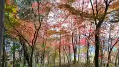 宝登山神社奥宮(埼玉県)