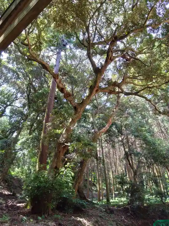 桜井大神宮(福岡県)