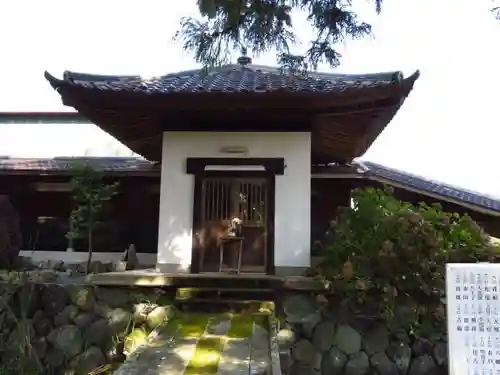 妙了寺の本殿・本堂