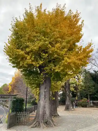 平塚神社(東京都)