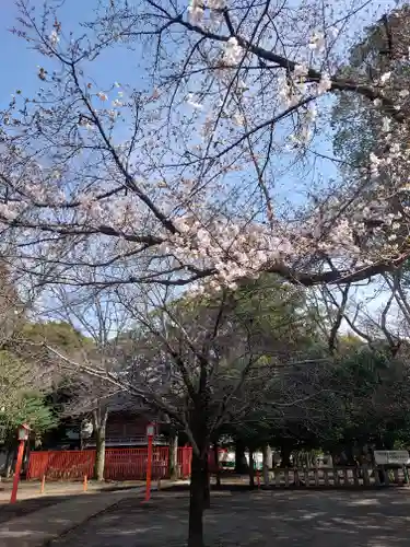 村富神社(神奈川県)