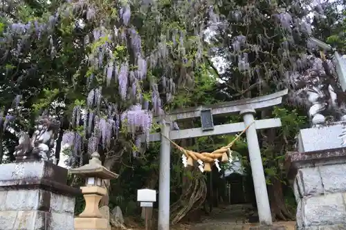 春日神社の鳥居