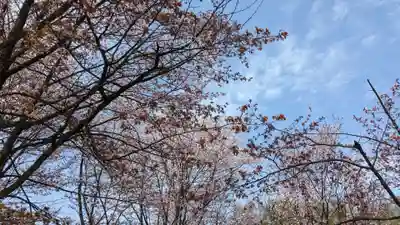 六角堂（深山峠新四国八十八ヶ所霊場）の自然