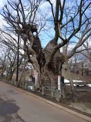 金峯神社(新潟県)