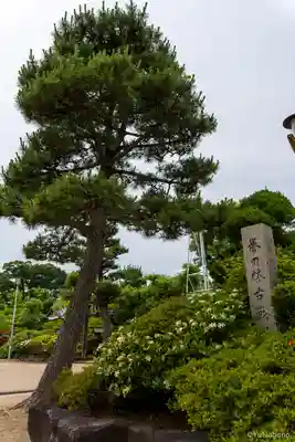 誉田八幡宮(大阪府)