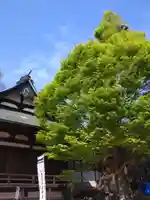 賀羅加波神社(広島県)