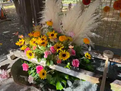 彌彦神社　(伊夜日子神社)の手水舎