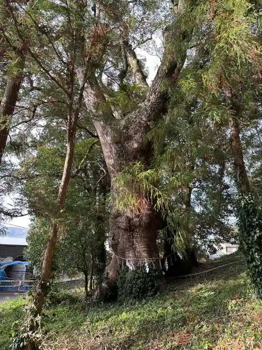 寳満宮(福岡県)