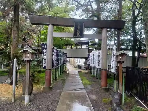 白金龍王社(愛知県)