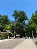 鹿島神宮(茨城県)