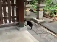 天王坊稲荷神社(岐阜県)