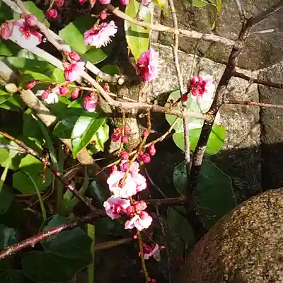 徳王稲荷社・金刀比羅社(愛知県)