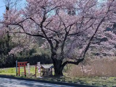 宇賀神さま(福島県)