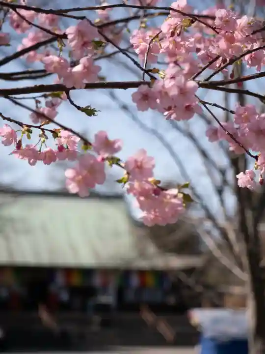 喜多院の{uncategorized: "未分類", other: "その他", undefined: "問題あり", building: "その他建物", grave: "お墓", sacred_gate: "鳥居", guardian: "狛犬", statue: "像", buddha: "仏像", history: "歴史", nature: "自然", garden: "庭園", animal: "動物", pagoda: "塔", temizu: "手水舎", mountain_gate: "山門・神門", sanctuary: "本殿・本堂", subordinate: "末社・摂社", art: "芸術", scenery: "景色", jizo: "地蔵", ema: "絵馬", goshuin: "御朱印", omikuji: "おみくじ", items: "授与品その他", amulet: "お守り", goshuincho: "御朱印帳", eats: "食事", festival: "お祭り", votive_dance: "神楽", shichigosan: "七五三参", wedding: "結婚式", experience: "体験その他", initially: "初詣", around: "周辺", anti_infection: "感染症対策"}