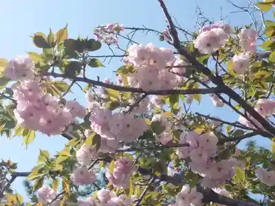 鶴嶺八幡宮(神奈川県)