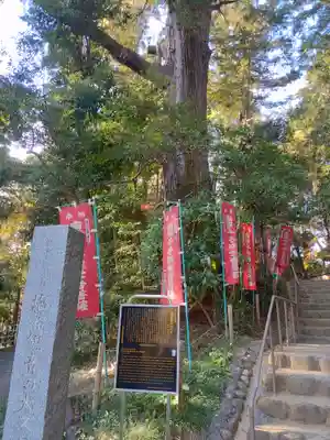 塩船観音寺(東京都)