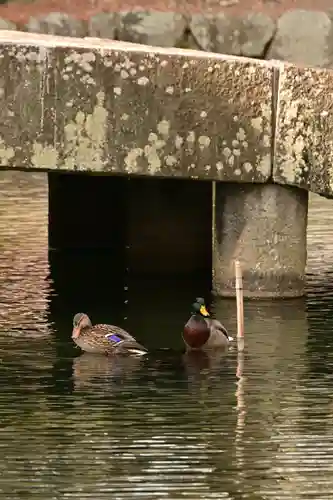相国寺（相国承天禅寺）(京都府)