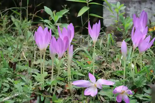大六天麻王神社の庭園