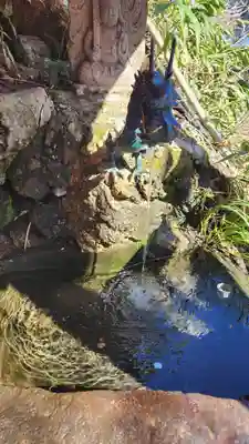 高龍神社(新潟県)