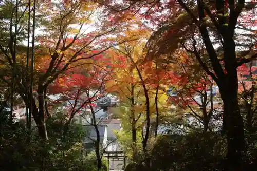 愛宕神社の景色