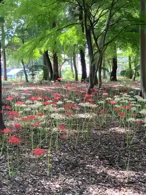 祖光院(千葉県)