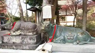 長岡天満宮の狛犬