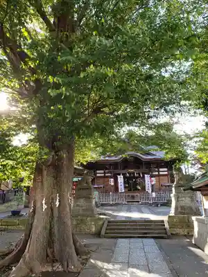 滝野川八幡神社の本殿・本堂