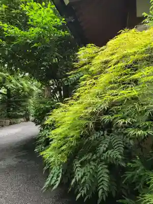 阿佐ヶ谷神明宮(東京都)