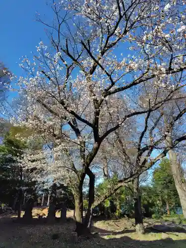 八幡神社(埼玉県)