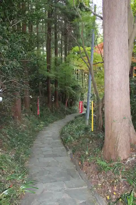 慈光寺(埼玉県)