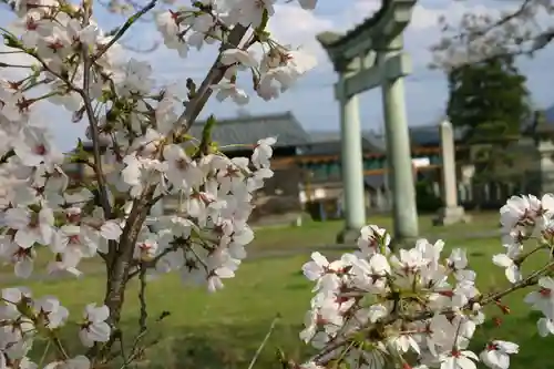 琵琶神社の鳥居