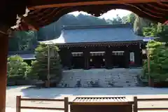 近江神宮の本殿