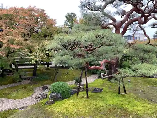 妙顯寺（妙顕寺）(京都府)