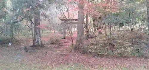 鍬山神社の鳥居