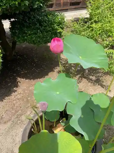 大仙寺(岐阜県)