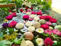 滑川神社 - 仕事と子どもの守り神の手水舎