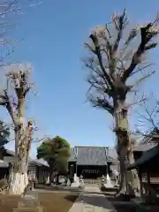 赤塚諏訪神社の建物その他