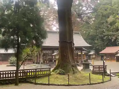 狭野神社(宮崎県)