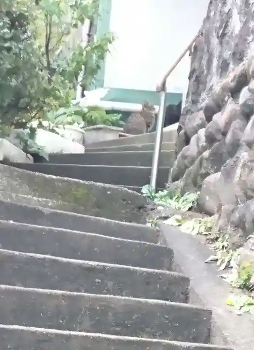 龍宝寺のその他建物